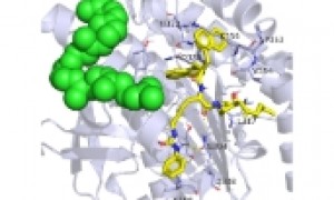 重庆专业的分子动力学模拟外包服务商，慧算学术合作实力参考