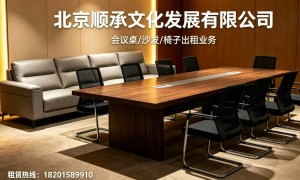 顺承文化技术实力如何