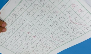 2026年书法培训推荐中心知名机构挑选全攻略