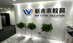 新未来教育怎么样相关的帮做学历提升避坑咨询的公司可以推荐吗机构企业全景分析
