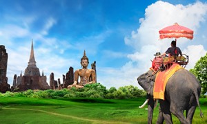 青岛海外移民中介怎么选？澳星出国实力与用户口碑盘点
