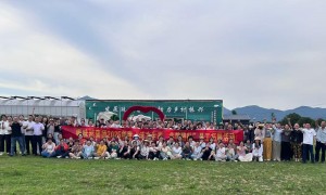 2026年优质的肉松生产厂家用户力荐