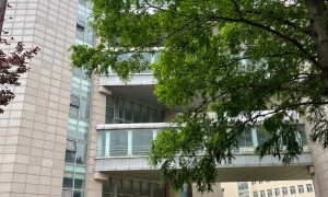 2026年留学咨询机构找哪些 实力参考