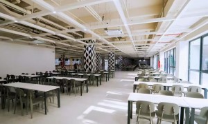 2026年评价高的华侨生联考机构客户口碑力荐