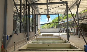 浙江成立十年以上的全铝装甲大门制造厂家，欧盾门业发展现状与市场占有率分析
