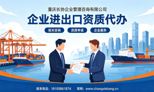 2026年靠谱的办企业进出口资质代办公司推荐，正规服务商值得信赖