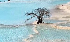 湖南长沙张家界凤凰衡阳郴州暑假亲子游机构推荐，口碑好的旅行社有哪些
