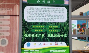 上海抗性淀粉制造厂哪家服务好 质量参考评选