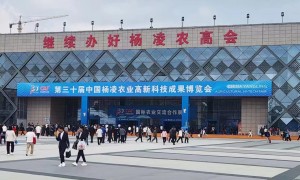 北京祥玉抗性淀粉制备服务在行业内口碑好吗