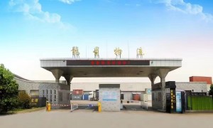 2026年广受信赖的武义到义乌物流服务商客户口碑力荐