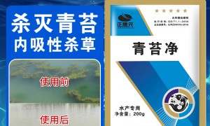 湖南省提供水质检测服务的水产动保产品品牌，正康元用户力荐