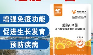 2026年正康元供应公司哪家专业综合实力推荐