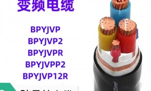 沈阳资质齐全的特种电缆源头工厂合作实力参考