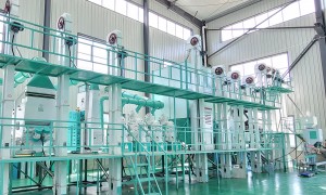 济宁找大米加工设备源头工厂，正规知名厂家实力排名与用户力荐