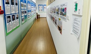 2026年北京奥运村少儿美术培训北苑立水桥启蒙暑假班课程有哪些机构行业现状与选择指南