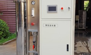 2026年长沙靠谱的臭氧消毒机来样定制厂家选购参考汇总