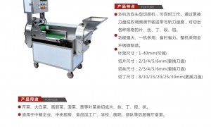 2026年能切片的多功能切菜机厂家帮忙推荐