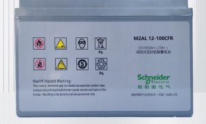 APC UPS电源SMT2200I-CH 2.2KVA智能在线互动式 带网络管理卡 亚森特