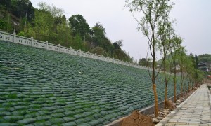 2026年正规的护坡生态袋供货商合作实力参考，同鹏土工材料资质齐全