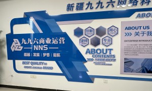 2026年伊犁哈萨克自治州靠谱的线上推广运营机构推荐