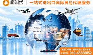 河北想要做货物进出口找哪家代理公司比较好，国际物流代理服务商合作实力参考