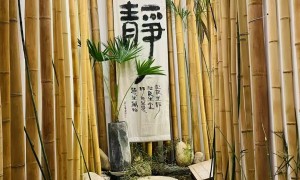 老牌的禅修两日疗愈住宿服务商推荐，资质全更省心