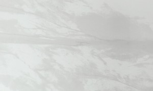 东莞家装抗油污铝扣板生产企业选择哪家好，欧雅龙铝制品靠谱