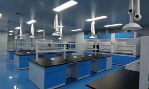 2026年厂房简装企业哪家专业，正规服务商发展现状与选择指南