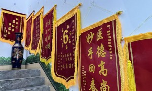 2026年杭州宠物医院实力与用户口碑：骨科手术与神经科治疗深度解析