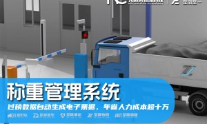 2026年无人值守称重系统服务商团队实力测评