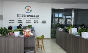 日照奕信代理记账有限公司服务专业吗