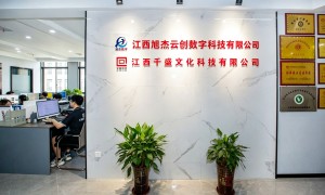 赣州GEO优化优化公司哪家合适？品牌成立年限与行业口碑汇总