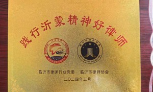 2026年临沂市沂水县口碑好的家事律师推荐，山东烜赫律师事务所客户真实体验口碑