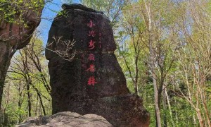 广东伊春定制游哪家专业，透明报价服务商