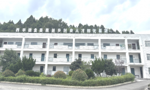 南充人气酱腌菜推荐，源头厂家供货品质有保障