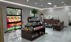 天津新开的宠物寄养店推荐，这些靠谱商家值得收藏