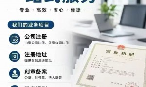 2026年个体工商户注册营业执照办理流程与报税服务商选购参考汇总