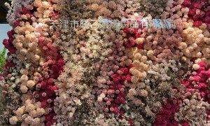 2026年优质的仿真花制造厂家挑选全攻略