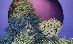 仿真花定制供应商哪家好？2026年河北靠谱厂家实力参考