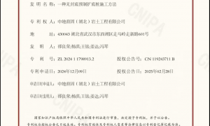 2026年载体桩建筑耐用技术供应商能力调研报告