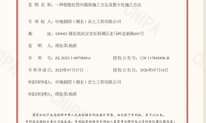 中地鼎固载体桩施工要求服务商团队实力测评