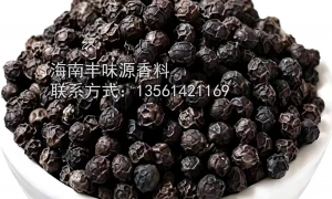 海南丰味源香料有限公司：能做黑胡椒粉末的厂家推荐几个，品质可靠