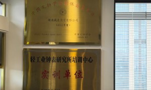 湖南名表维修保养哪家强：2026年正规服务商合作实力盘点