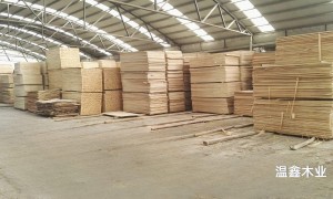 2026年东营靠谱的全屋定制工厂挑选全攻略