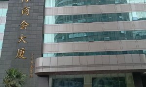 2026年汽车陪练服务找哪家？口碑好的机构实力推荐