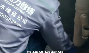 2026年实力强的建筑防水修缮品牌企业用户力荐