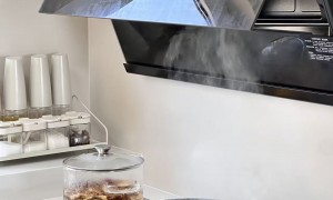 尚朋堂不锈钢电蒸锅 智能触控蒸汽锅 家用蒸鱼蒸包子 缺水自动断电