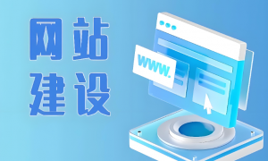 太仓网站建设机构能力调研报告