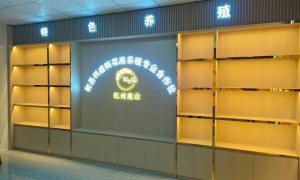 合肥烟酒柜定制源头工厂有哪些？施力众展柜合作实力参考