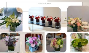 省心的室内花卉租赁服务商行业全景分析